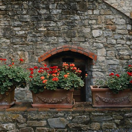 Il Cascino Guest House Greve in Chianti Luaran gambar