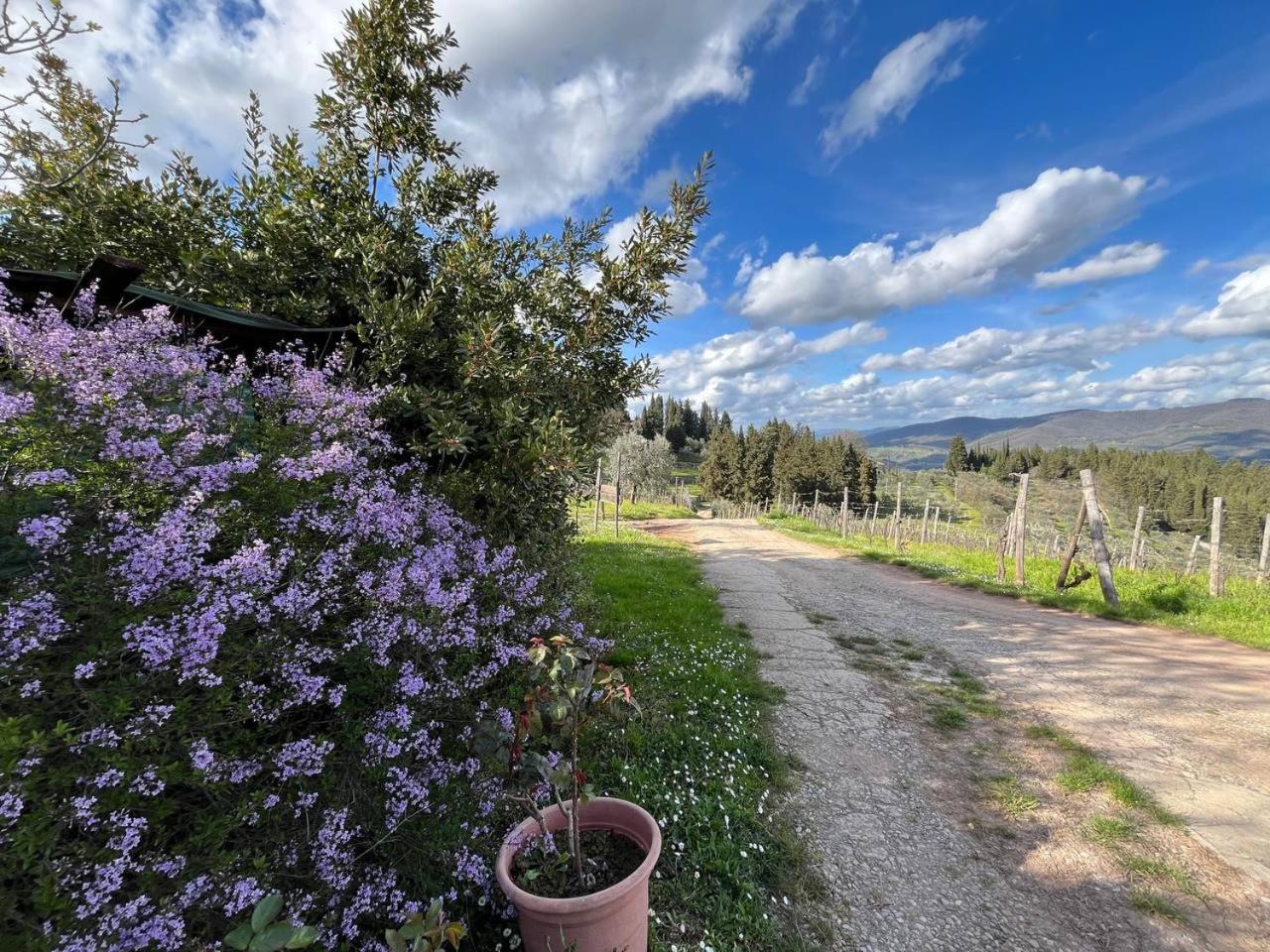 Il Cascino Guest House Greve in Chianti Luaran gambar