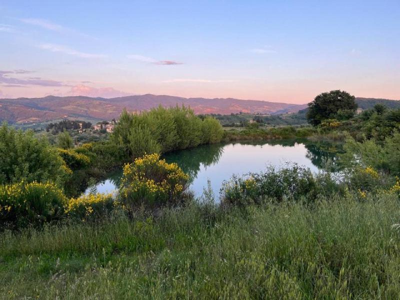 Il Cascino Guest House Greve in Chianti Luaran gambar