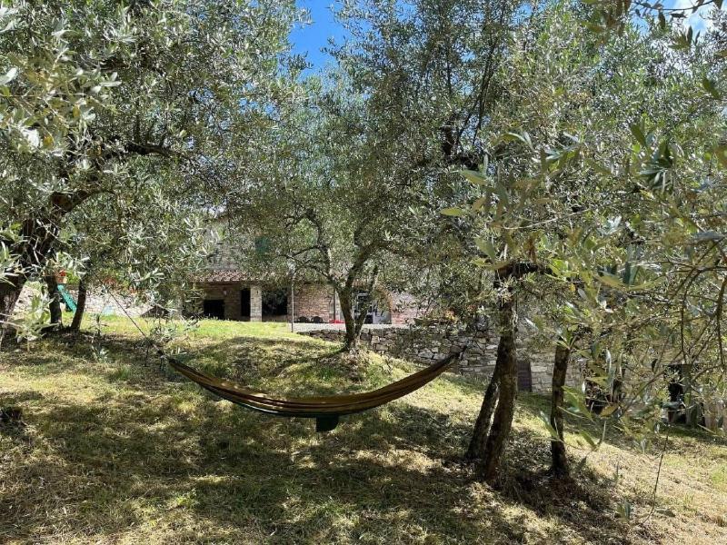 Il Cascino Guest House Greve in Chianti Luaran gambar