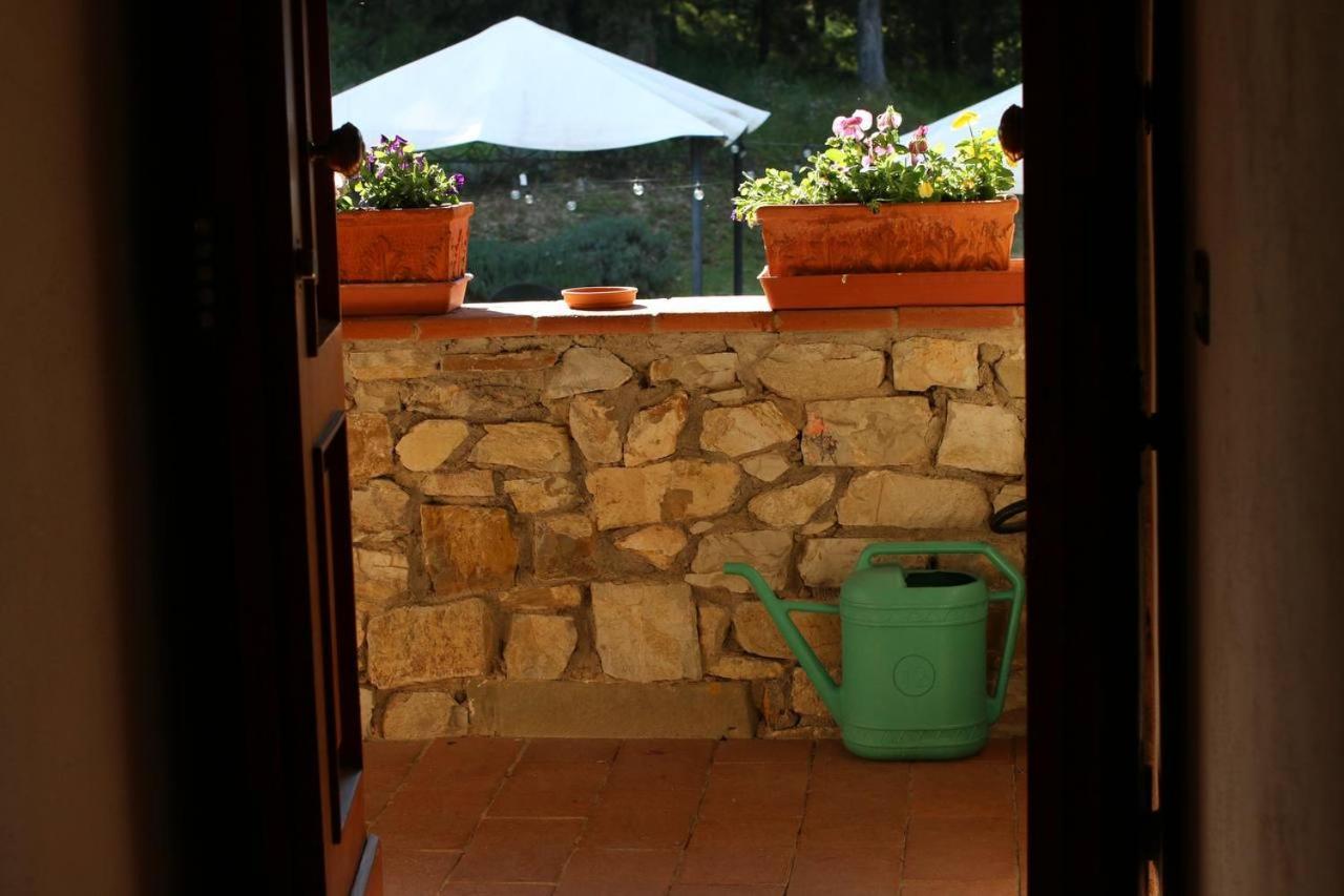 Il Cascino Guest House Greve in Chianti Luaran gambar